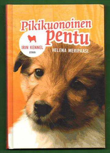 Pikikuonoinen pentu