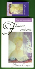Ihanat enkelit - Anna valon muuttaa elämäsi + Valon enkelit -kortit