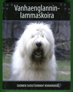 Suomen suosituimmat koirarodut - Vanhaenglanninlammaskoira