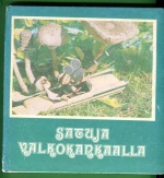 satuja valkokankaalla