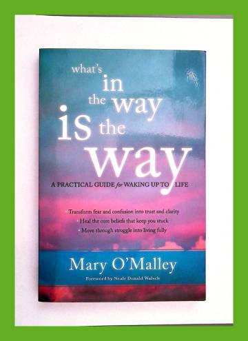 What's in the Way Is the Way - A Practical Guide for Waking Up to Life