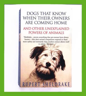 Dogs that know when their owners are coming home - And other unexplained powers of animals