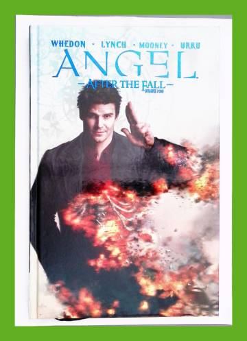 Angel: After the Fall Vol. 4