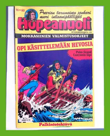 Hopeanuoli 16/80