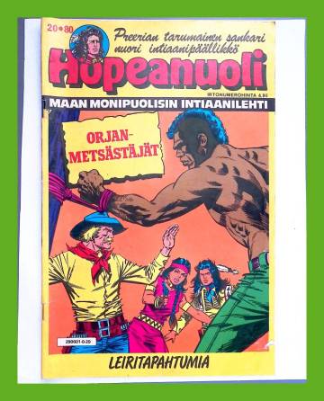 Hopeanuoli 20/80