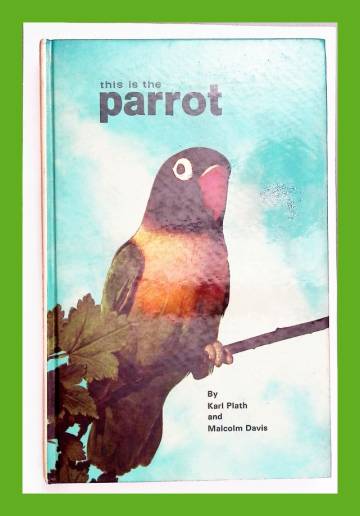 This is the parrot