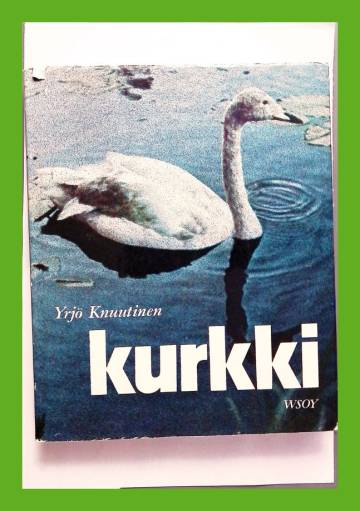 Kurkki