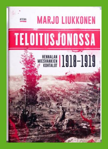 Teloitusjonossa - Hennalan miesvankien kohtalot 1918-1919