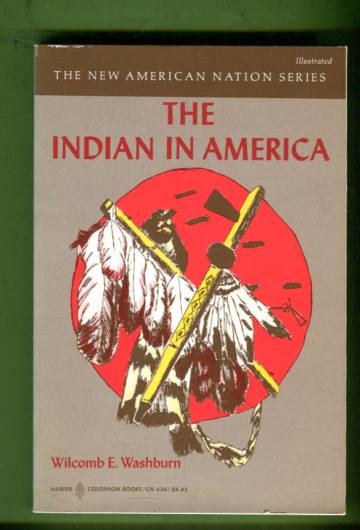 The Indian in America