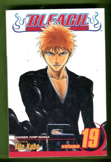 Bleach Vol. 19