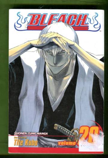 Bleach Vol. 20