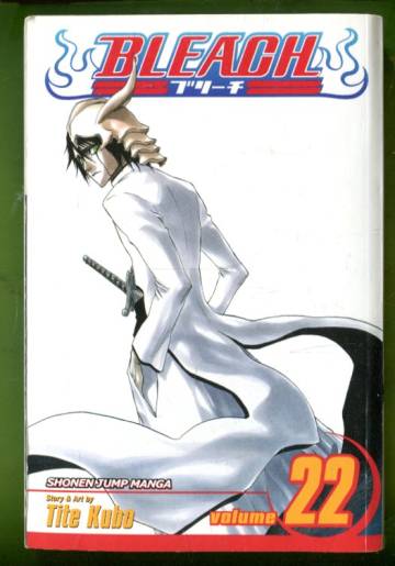 Bleach Vol. 22