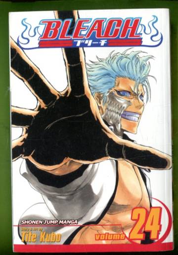 Bleach Vol. 24