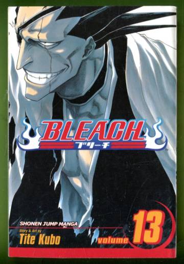Bleach Vol. 13