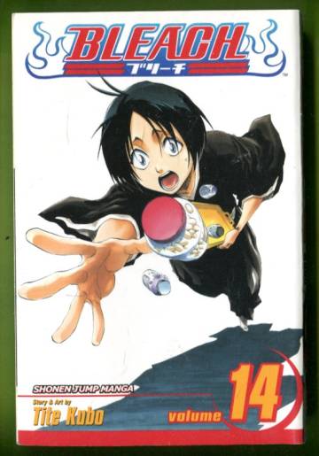 Bleach Vol. 14