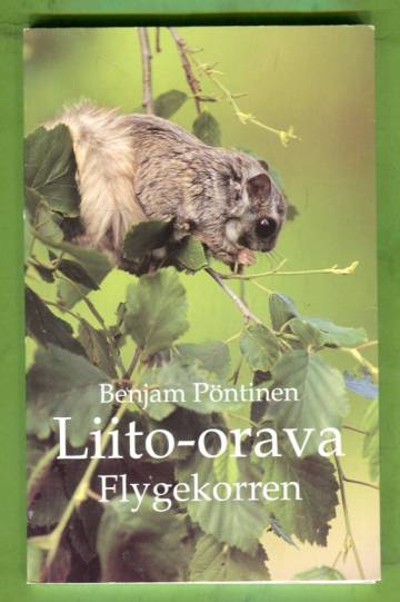 Liito-orava / Flygekorren