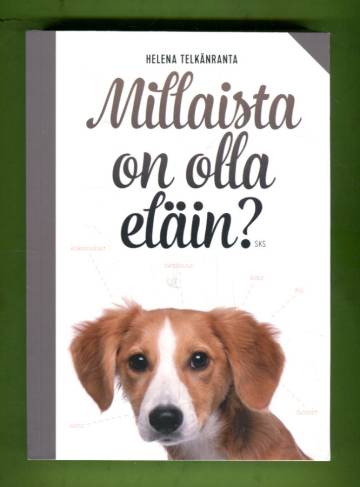 Millaista on olla eläin?