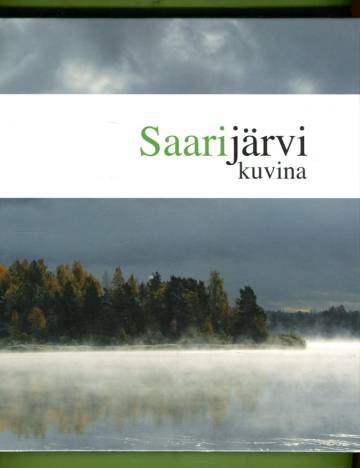 Saarijärvi kuvina