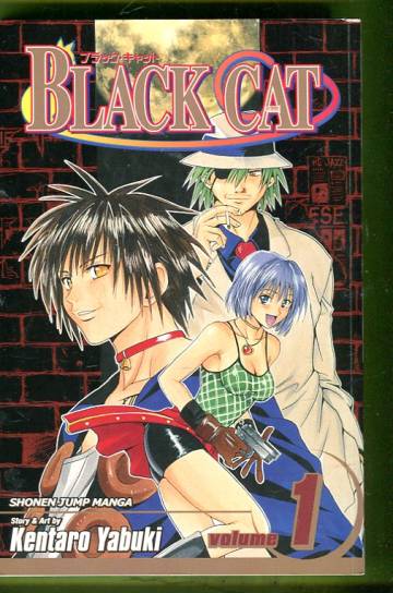 Black Cat Vol. 1