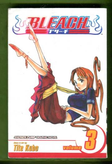 Bleach Vol. 3