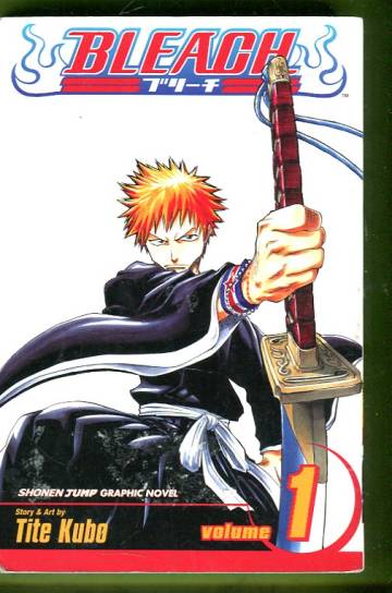 Bleach Vol. 1