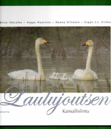 Laulujoutsen - Kansallislintu