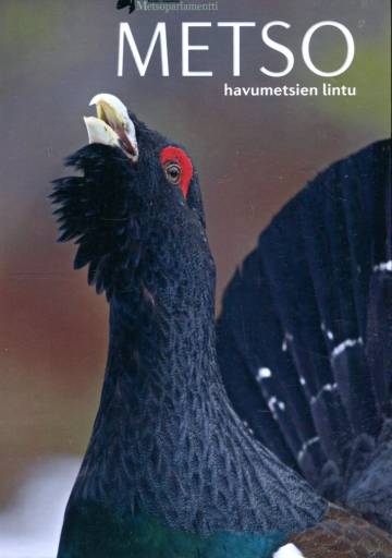 Metso - Havumetsien lintu