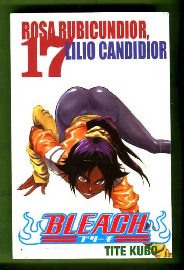 Bleach 17