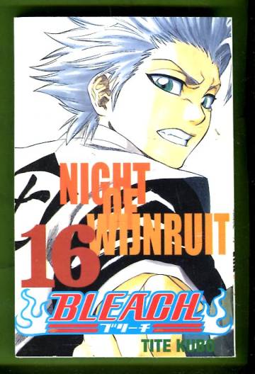 Bleach 16