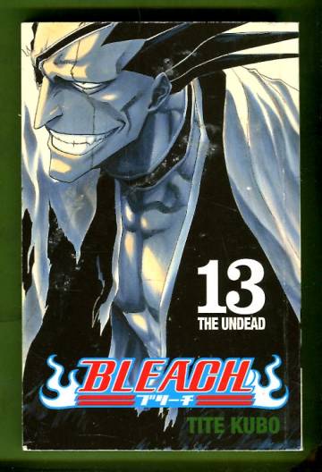 Bleach 13