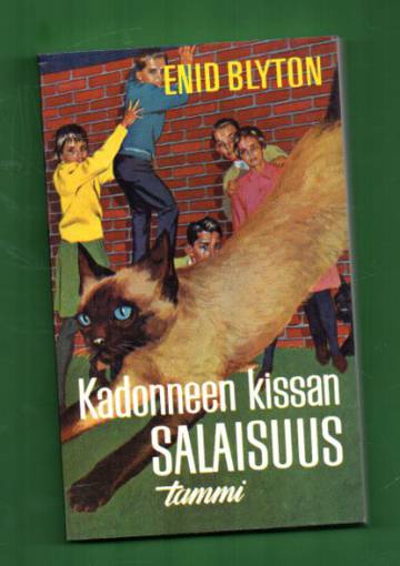 Salaisuus 2 - Kadonneen kissan salaisuus