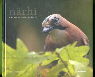 Närhi - Kaunis ja salaperäinen