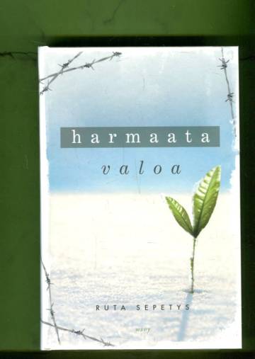 Harmaata valoa