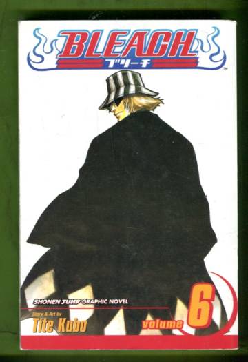 Bleach Vol. 6