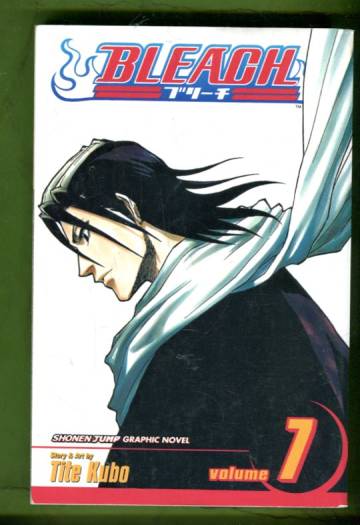 Bleach Vol. 7