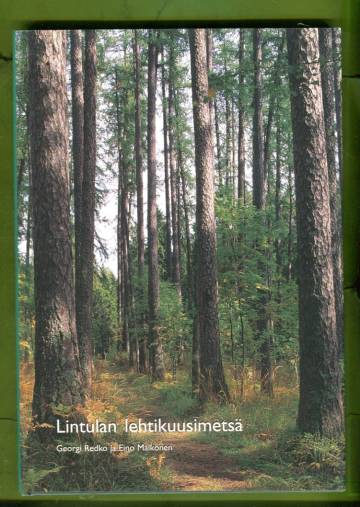 Lintulan lehtikuusimetsää