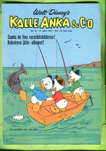 Kalle Anka & c:o 21/66