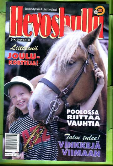 Hevoshullu 24/91 + liite