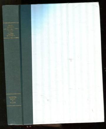 Huoltoriidat tuomioistuimissa - Sosiaalitoimi selvittäjänä, sovittelijana, asiantuntijana