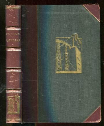 Kaukopää - Teollisuusromaani