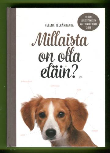 Millaista on olla eläin?