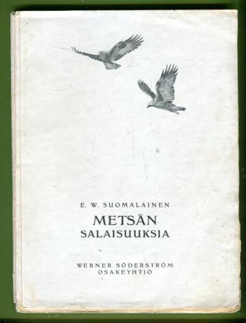 Metsän salaisuuksia - Eläinkertomuksia