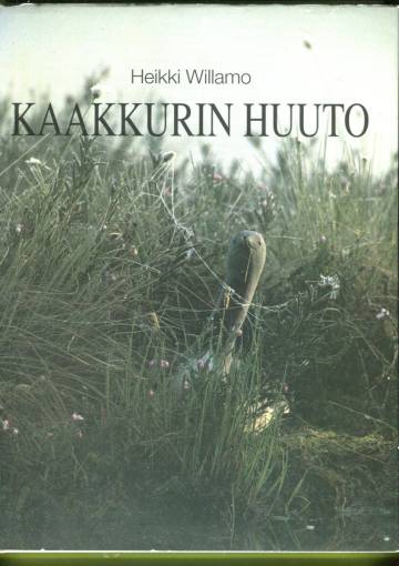 Kaakkurin huuto