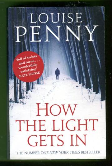 How the Light Gets in