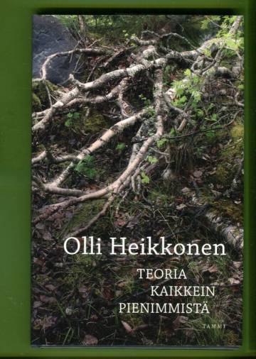 Teoria kaikkein pienimmistä