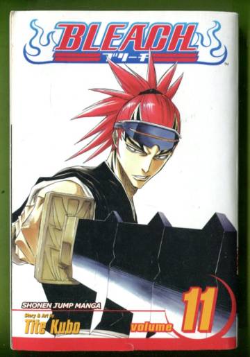 Bleach Vol. 11