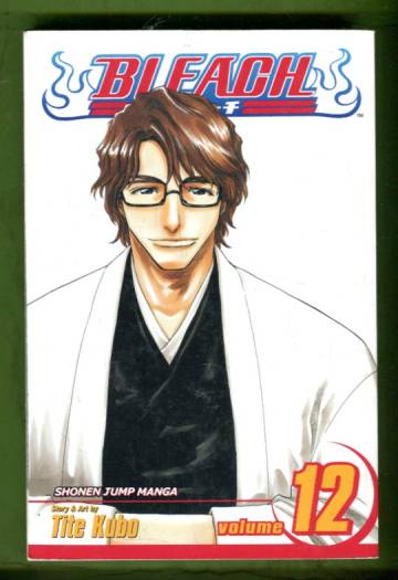 Bleach Vol. 12