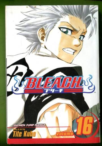 Bleach Vol. 16