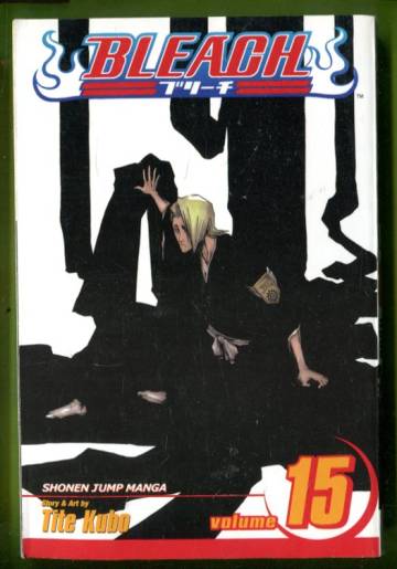 Bleach Vol. 15