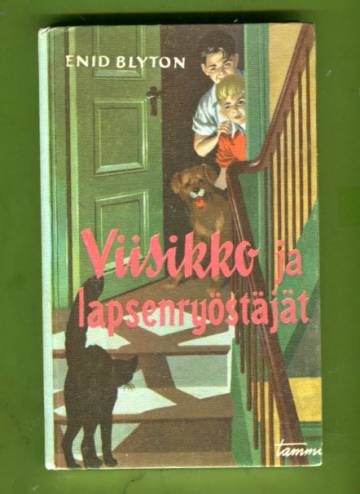 Viisikko 15 - Viisikko ja lapsenryöstäjät